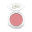 Golden Rose | Powder Blush No 17 Desire Pink (7g) | GRPB17