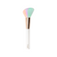 Donegal | SORBET Blush Brush | D4226