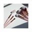 Donegal | MINERAL PINK Eyebrow & Eyelash Brushes | D4294